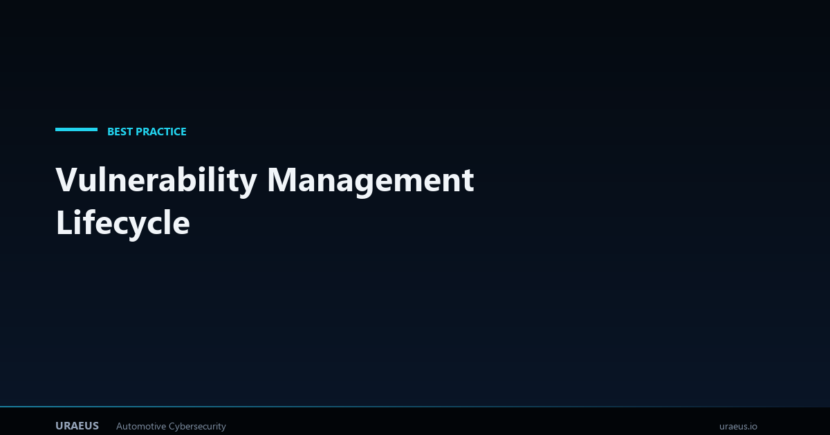 Vulnerability Management Lifecycle | VxLabs